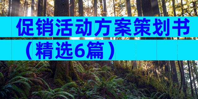 促销活动方案策划书（精选6篇）