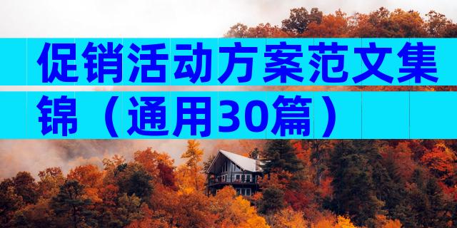 促销活动方案范文集锦（通用30篇）