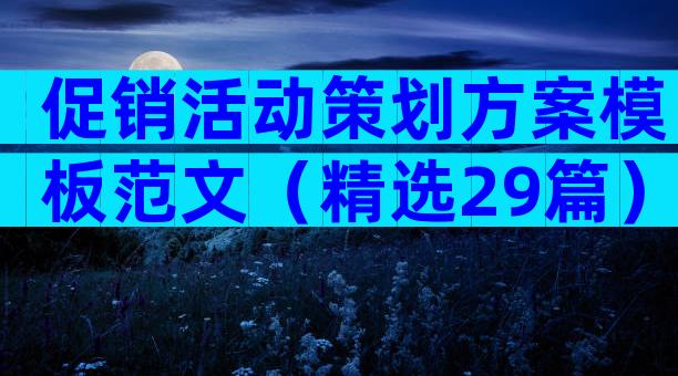 促销活动策划方案模板范文（精选29篇）