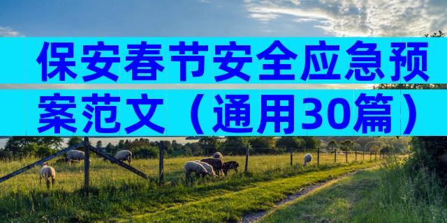 保安春节安全应急预案范文（通用30篇）