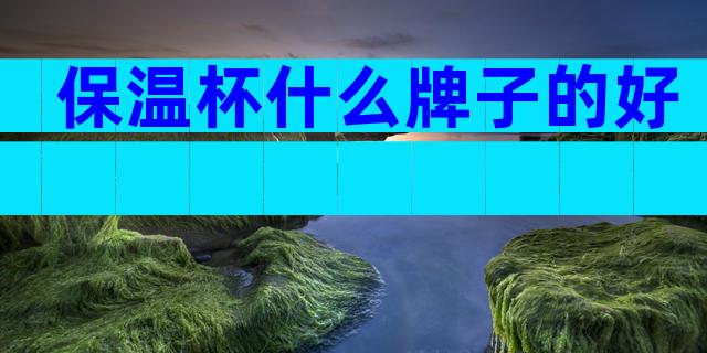 保温杯什么牌子的好