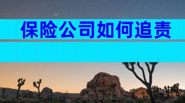 保险公司如何追责