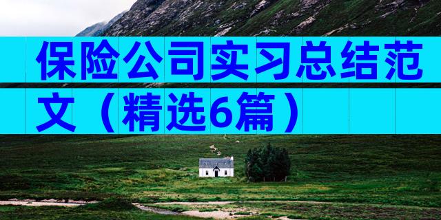 保险公司实习总结范文（精选6篇）