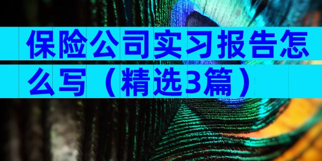 保险公司实习报告怎么写（精选3篇）
