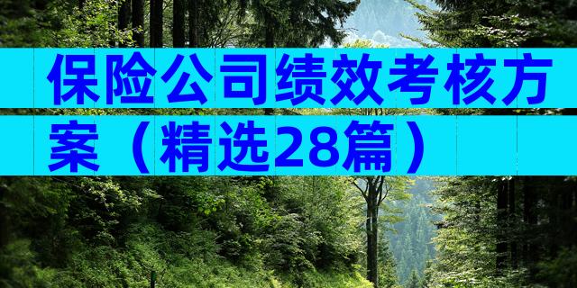 保险公司绩效考核方案（精选28篇）