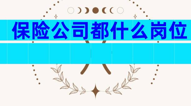 保险公司都什么岗位