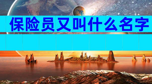 保险员又叫什么名字