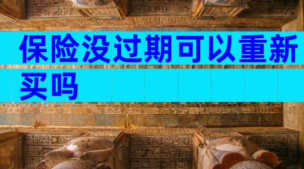 保险没过期可以重新买吗