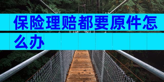 保险理赔都要原件怎么办