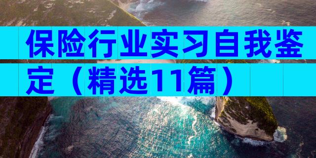 保险行业实习自我鉴定（精选11篇）