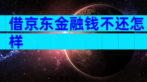 借京东金融钱不还怎样