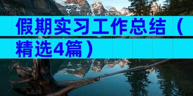 假期实习工作总结（精选4篇）