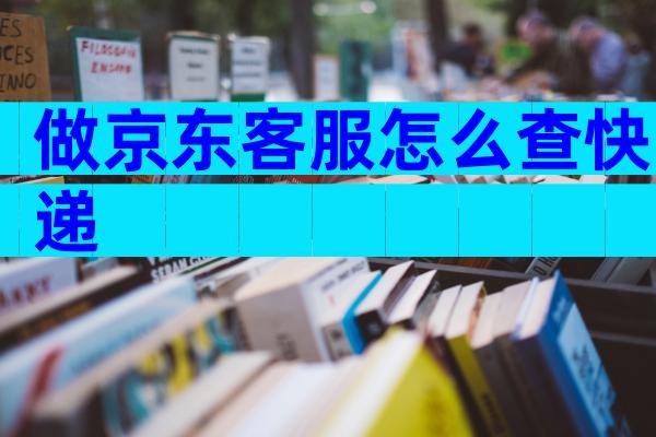 做京东客服怎么查快递
