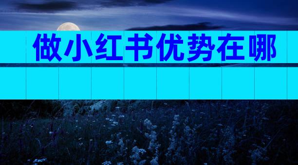 做小红书优势在哪