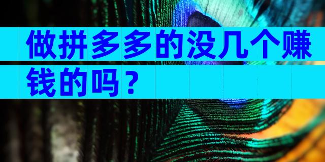 做拼多多的没几个赚钱的吗？