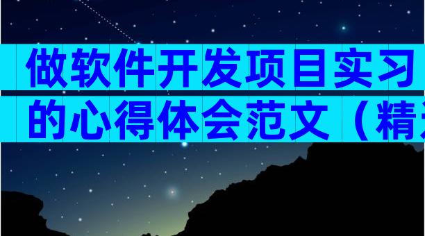 做软件开发项目实习的心得体会范文（精选14篇）