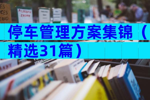停车管理方案集锦（精选31篇）