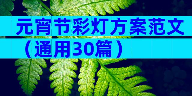 元宵节彩灯方案范文（通用30篇）
