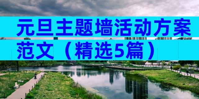 元旦主题墙活动方案范文（精选5篇）