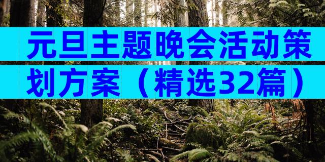 元旦主题晚会活动策划方案（精选32篇）