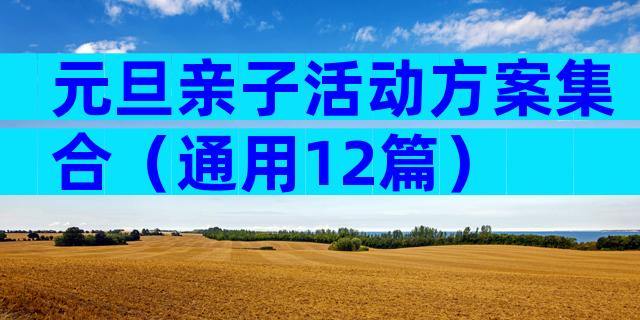 元旦亲子活动方案集合（通用12篇）