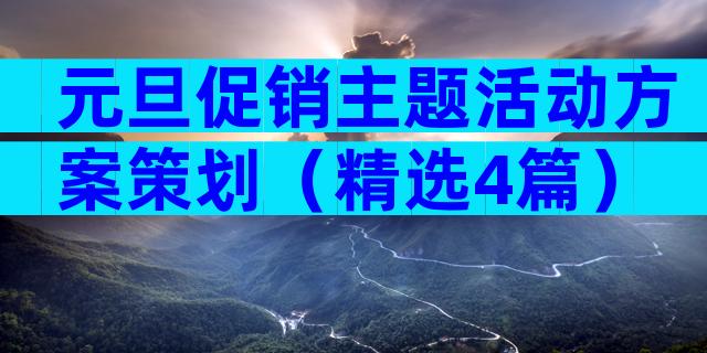元旦促销主题活动方案策划（精选4篇）