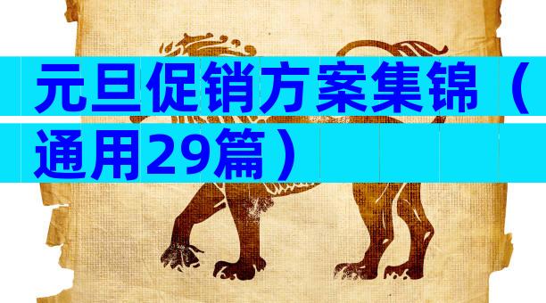 元旦促销方案集锦（通用29篇）
