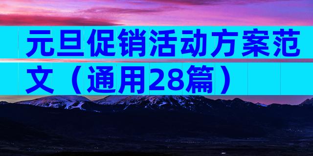 元旦促销活动方案范文（通用28篇）