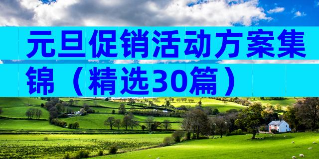 元旦促销活动方案集锦（精选30篇）