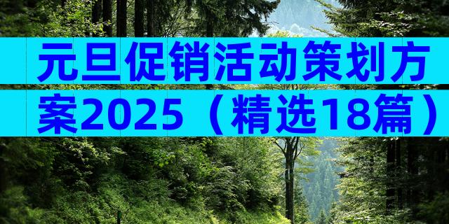 元旦促销活动策划方案2025（精选18篇）