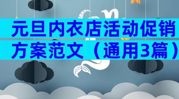 元旦内衣店活动促销方案范文（通用3篇）