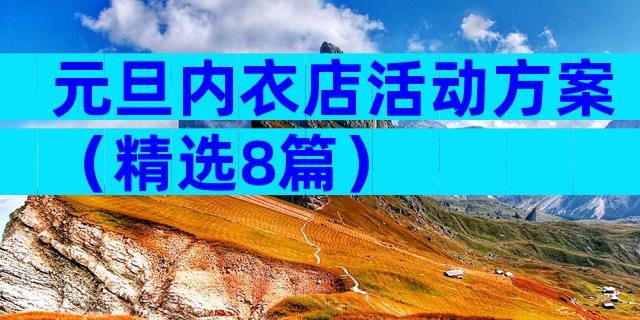 元旦内衣店活动方案（精选8篇）