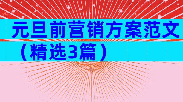 元旦前营销方案范文（精选3篇）