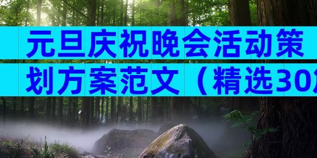 元旦庆祝晚会活动策划方案范文（精选30篇）