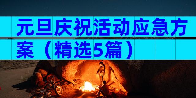 元旦庆祝活动应急方案（精选5篇）