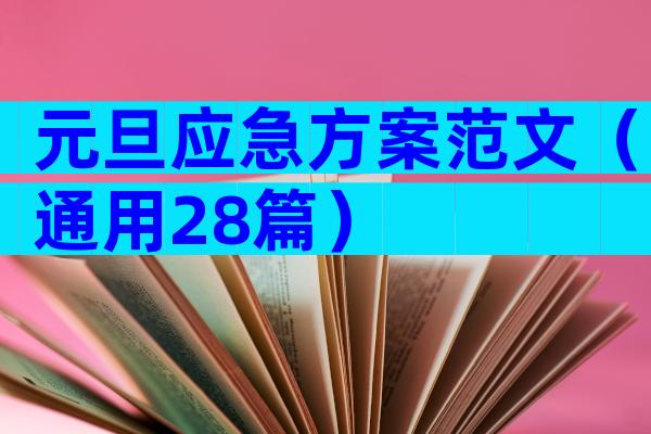 元旦应急方案范文（通用28篇）