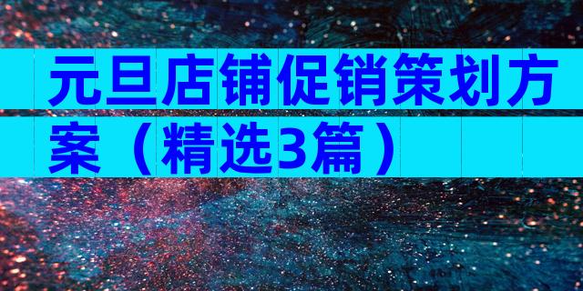元旦店铺促销策划方案（精选3篇）