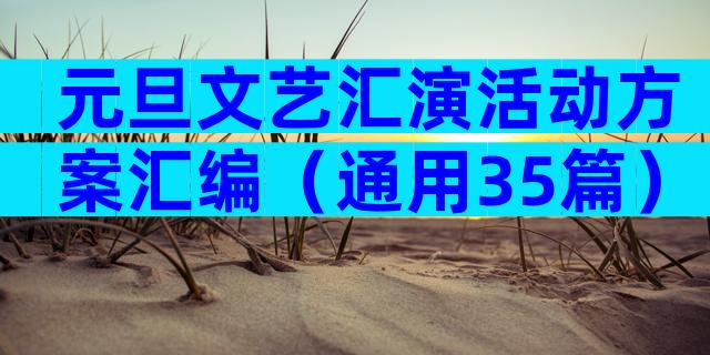 元旦文艺汇演活动方案汇编（通用35篇）