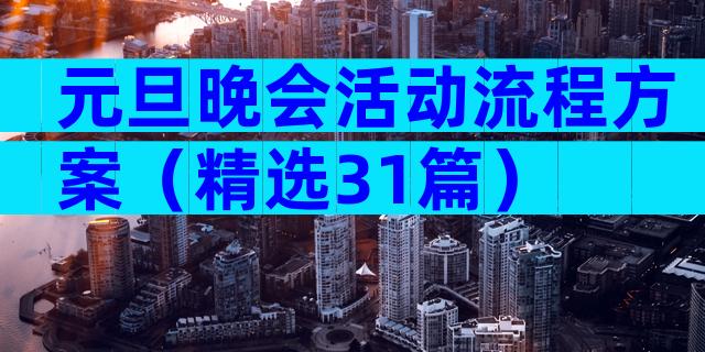 元旦晚会活动流程方案（精选31篇）