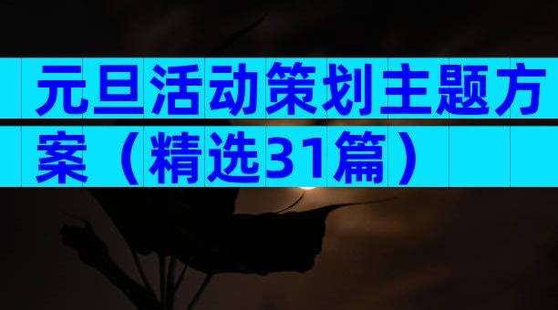 元旦活动策划主题方案（精选31篇）