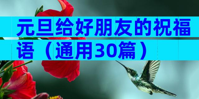 元旦给好朋友的祝福语（通用30篇）