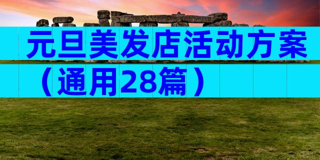 元旦美发店活动方案（通用28篇）