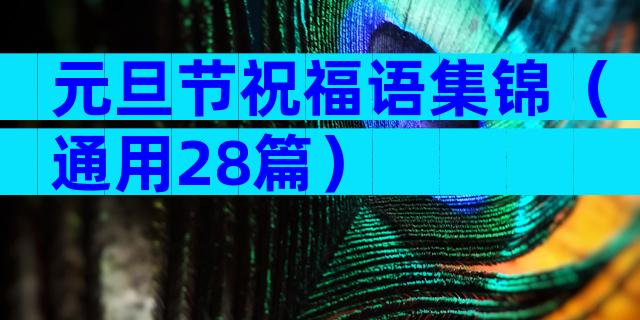 元旦节祝福语集锦（通用28篇）