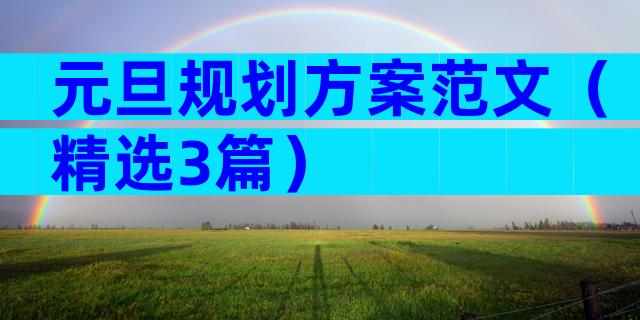 元旦规划方案范文（精选3篇）