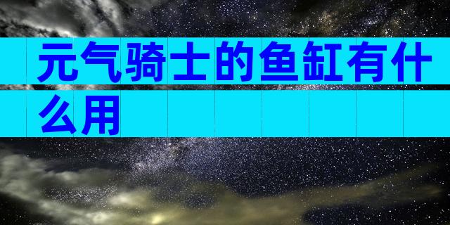 元气骑士的鱼缸有什么用