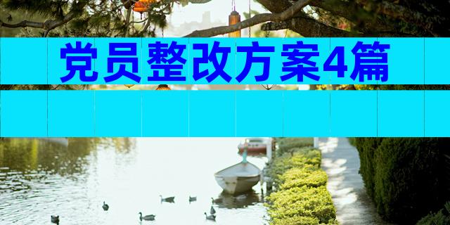 党员整改方案4篇