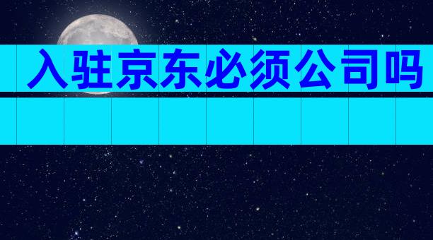 入驻京东必须公司吗