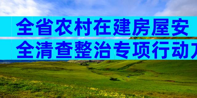全省农村在建房屋安全清查整治专项行动方案范文（精选30篇）