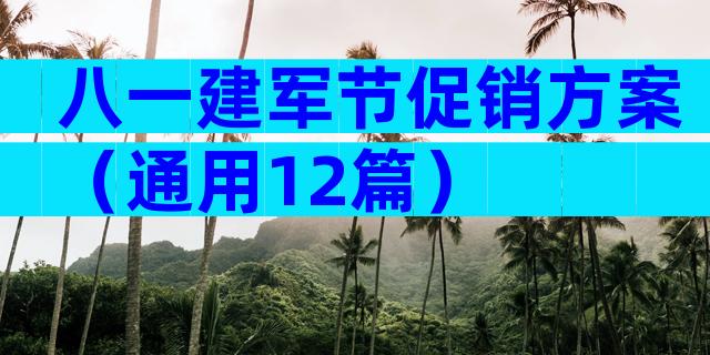 八一建军节促销方案（通用12篇）