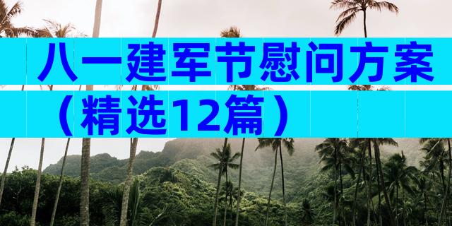 八一建军节慰问方案（精选12篇）